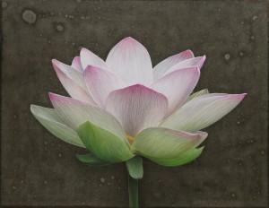 lotus#5
