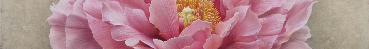 木村佳代子 絵画展 ~宙の華~ (そらのはな)