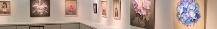 日本橋三越本店美術サロン個展終了