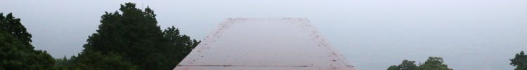 安楽死について