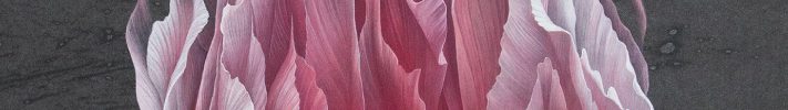 BORDER - 木村佳代子展 2018/12/13~19